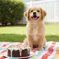 Load image into Gallery viewer, Organic PAWfetti Cakes Peanut Butter Frosted Rice Cake Dog Treat