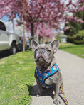Load image into Gallery viewer, 90s Baby Reversible Harness - Southlake Paws