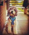 Load image into Gallery viewer, 90s Baby Reversible Harness - Southlake Paws