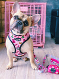 Load image into Gallery viewer, Fairytail Leash Kit - Southlake Paws