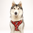 Load image into Gallery viewer, Pawgwarts Everyday Adjustable No-Pull Dog Harness - Southlake Paws