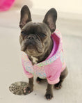 Load image into Gallery viewer, Slumber Pawty Hoodie - Southlake Paws