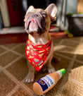 Load image into Gallery viewer, Taco Tuesday Cooling Bandana - Southlake Paws