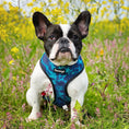 Load image into Gallery viewer, Tie-Dye For Reversible Harness - Southlake Paws