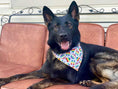 Load image into Gallery viewer, Peace Love Pride Bandana