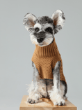 Load image into Gallery viewer, Pet Sweater Vest - Toffee Orange