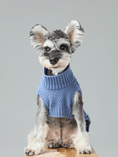Load image into Gallery viewer, Pet Sweater Vest - Ice Blue