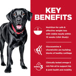 Hill's Science Diet Adult Perfect Weight & Joint Support Large Breed Dry Dog Food, Chicken Recipe Bag (25lb)