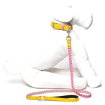 Personalized Braided Dog Leash Pink/Yellow