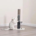 Load image into Gallery viewer, Urbane Durable Cat Scratcher with Rubber Massager & Teaser Ball