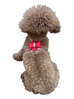 Bow Tie Dog Harness in Pleather, Red