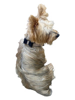 Bow Tie Dog Collar in Pleather, Black