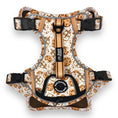 Load image into Gallery viewer, Milk & Cookies - Adventure Harness