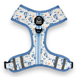 Big Air - Adjustable Harness
