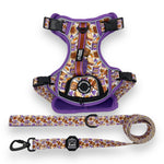 PB&J - Adventure Harness