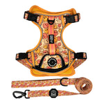 All Smiles - Adventure Harness