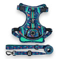 Load image into Gallery viewer, Scuba Dive - Adventure Harness