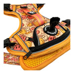 All Smiles - Adventure Harness