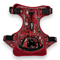 Load image into Gallery viewer, Red Paisley - Adventure Harness