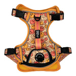 All Smiles - Adventure Harness