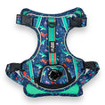 Load image into Gallery viewer, Scuba Dive - Adventure Harness