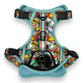 Load image into Gallery viewer, Boom Pow Bang - Adventure Harness