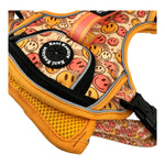 All Smiles - Adventure Harness