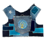 Astrological Expressions Aquarius