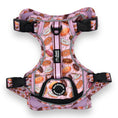 Load image into Gallery viewer, Tasty Donuts - Adventure Harness