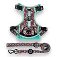 Load image into Gallery viewer, Melting Pot - Adventure Harness