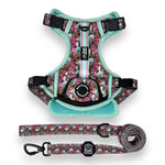 Melting Pot - Adventure Harness