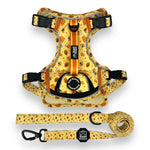 Honey Bee - Adventure Harness