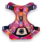 Fuchsia Meadows - Adventure Leather Harness