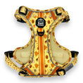 Load image into Gallery viewer, Honey Bee - Adventure Harness