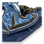 Blue Paisley - Adventure Harness