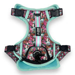 Melting Pot - Adventure Harness