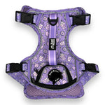 Lollipop Latte Dream - Adventure Harness