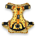 Load image into Gallery viewer, Honey Bee - Adventure Harness