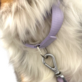 Load image into Gallery viewer, Martingale Dog Collar - Southlake Paws