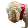 Load image into Gallery viewer, Martingale Dog Collar - Southlake Paws
