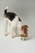 Load image into Gallery viewer, DERPY BOWL