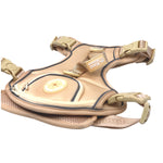 Créam Brûlée - Adventure Harness