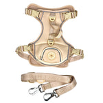 Créam Brûlée - Adventure Harness