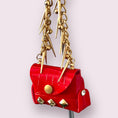 Load image into Gallery viewer, Rock and Roll Leatherette Dog Pick Up Bag Holder