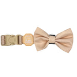 Créam Brûlée - Bow Tie
