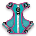 Load image into Gallery viewer, Miami Vice - Adventure Harness
