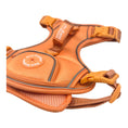 Load image into Gallery viewer, Coral Rose - Adventure Harness
