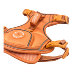 Coral Rose - Adventure Harness