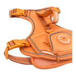 Coral Rose - Adventure Harness