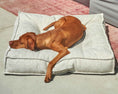 Load image into Gallery viewer, Bowsers Piazza Round Bolster Dog Bed in aquarius